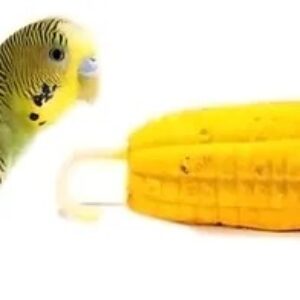 Calcio Aves Pajaro En Forma De Choclo