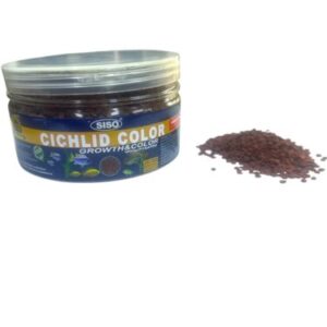 Siso cichlid color