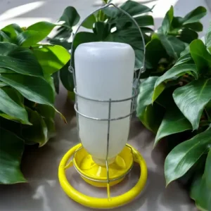 Comedero Pollo Pajaros Bebedero Colibri Ave Alimentador L681