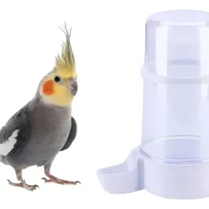 Bebedero Comedero Para Aves Automatico 055